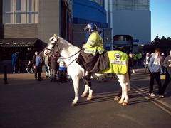 Police at Stamford Bridge